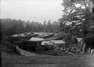 Hafodunos gardens, Llangernyw