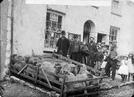 Sheep mart, Narberth