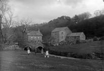 Felin-ficer, Llandysilio