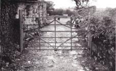 Gate at tyddyn 