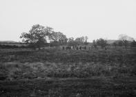 Line of men standing in field