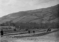 Ploughing competition