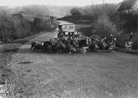 Turkeys crossing a road in front of a car