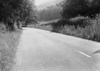 Road at Erwood