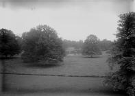 Pencerrig lake, Builth Wells