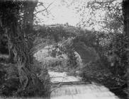 Woodland and bridge