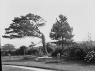 Cemetery