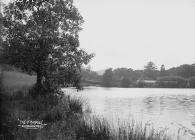 The fishpool, Clungunford