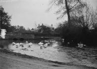 Walford bridge