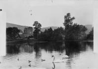 The lake and swans Clun