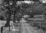 "The Hurst" drive showing Radnor wood...