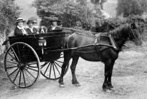 Three local women photographed in a pony and...