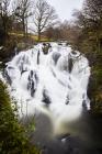 Swallow Falls