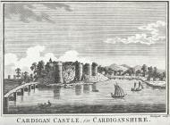  Cardigan Castle, in Cardiganshire