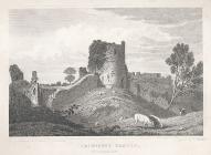  Caldicote Castle, Monmouthshire