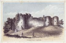  Chepstow Castle