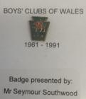 Badge