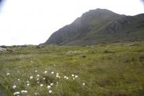 Cerddediad Tryfan a'r Glyderau 20