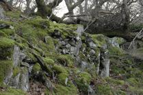 Pen-y-Castell, Maenan 08