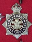Glamorgan Constabulary senior officers cap badge