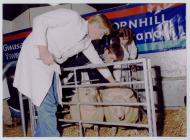 26. Young Farmers Club at the Winter Fair,...