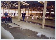 43. Young Farmers Club at the Winter Fair,...