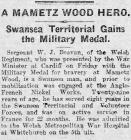 A Mametz Wood Hero - Cambrian Daily Leader...