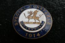 Glamorgan Special Constable pin badge.