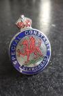 Glamorgan Constabulary Special Constable badge/