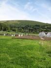 The Llangeinor community garden, summer 2013