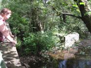 Looking at the River Garw, Llangeinor, 2013