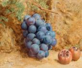 Grapes and Medlars - Hunt, William Henry