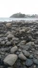 Criccieth Castle