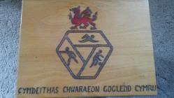 Cymdeithas Chwaraeon Gogledd Cymru