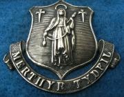 Merthyr Tydfil County Borough Police insignia.