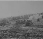 A view of hafodunos Hall, Llangernyw