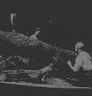 Two unknown men cutting a tree, circa 1930s