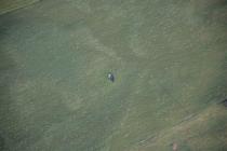  DEVIL'S QUOIT;NEWTON CROMLECH