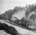 Llanbrynmair, 1969/02/03