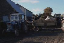 Cider making, Cilgwyn Farm Boughrood, Powys, 1977