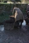 Cider making, Cilgwyn Farm Boughrood, Powys, 1977