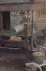 Cider making, Cilgwyn Farm Boughrood, Powys, 1977