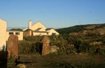 'The Cottage', Skokholm with 'Old Red Sandstone...