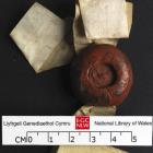 NLW Bronwydd 1414 seal 1 (8633570351)