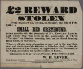 £2 Rewards Stolen dog 1864