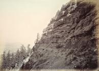 46. Conglomerate Rocks, Alpine Co