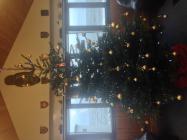Porthcawl RNLI Christmas Tree