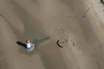  POINT OF AYR LIGHTHOUSE; Y PARLWR DU