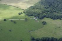  TOP Y COED, TREE RING