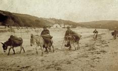 Casglwyr Cocos ar Traeth Glan y Fferi c1906